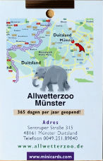 Objets insolites · Tête d'éléphant - Islande