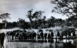 Cartes · Cartes postales Afrique