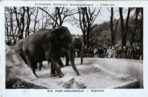 Cartes · Cartes postales Asie