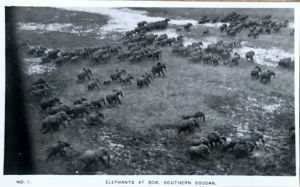Cartes · Cartes postales Afrique