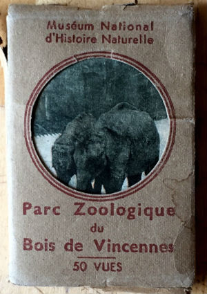 Objets insolites