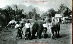 Cartes · Cartes postales Asie - Éléphants d'Asie