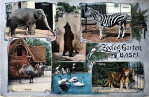 Cartes · Cartes postales Asie - Éléphants d'Asie