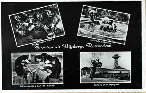 Cartes · Cartes postales Asie