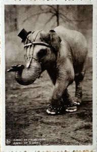 Cartes · Cartes postales Asie