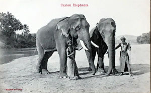 Cartes · Cartes postales Asie