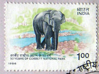 Timbres · Inde