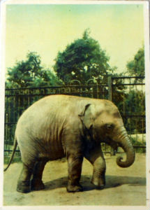 Cartes · Cartes postales Asie - Cambodge, Inde, Laos, Sri Lanka