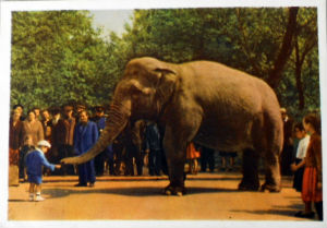 Cartes · Cartes postales Asie - Cambodge, Inde, Laos, Sri Lanka