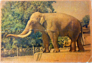 Cartes · Cartes postales Asie - Cambodge, Inde, Laos, Sri Lanka