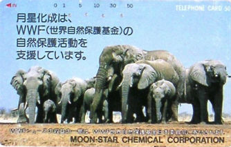 Cartes · Japon NTT