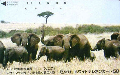 Cartes · Japon