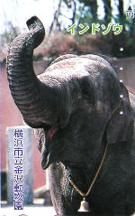 Cartes · Japon NTT