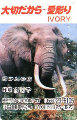 Cartes · Japon NTT