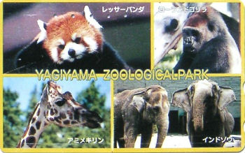 Cartes · Japon NTT