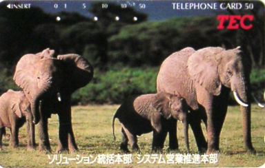 Cartes · Japon