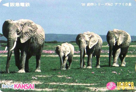 Cartes · Cartes Kansai-lagare
