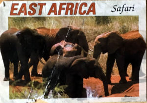 Cartes · Cartes postales Afrique