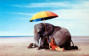 Cartes · Cartes postales Afrique