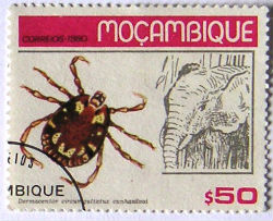 Timbres · Mocambique