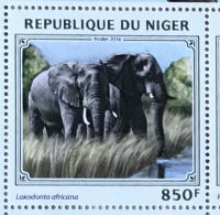 Timbres