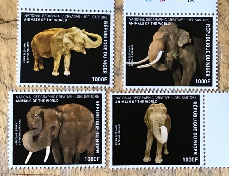 Timbres