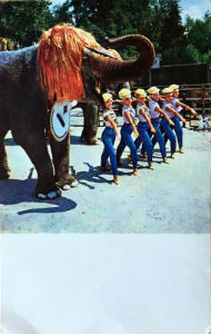 Cartes · Cartes postales Asie - Éléphants d'Asie
