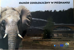 Calendriers · Pologne