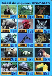 Calendriers