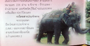 Objets insolites · Hotel à Surin - Thailande
