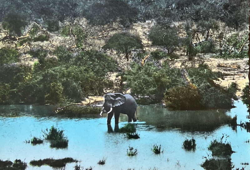 Cartes · Cartes postales Afrique