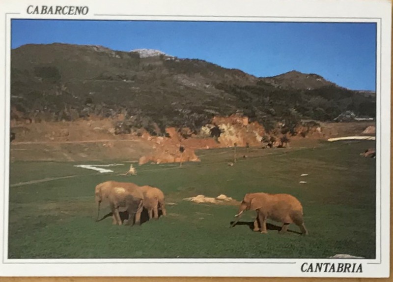 Cartes · Cartes postales Afrique