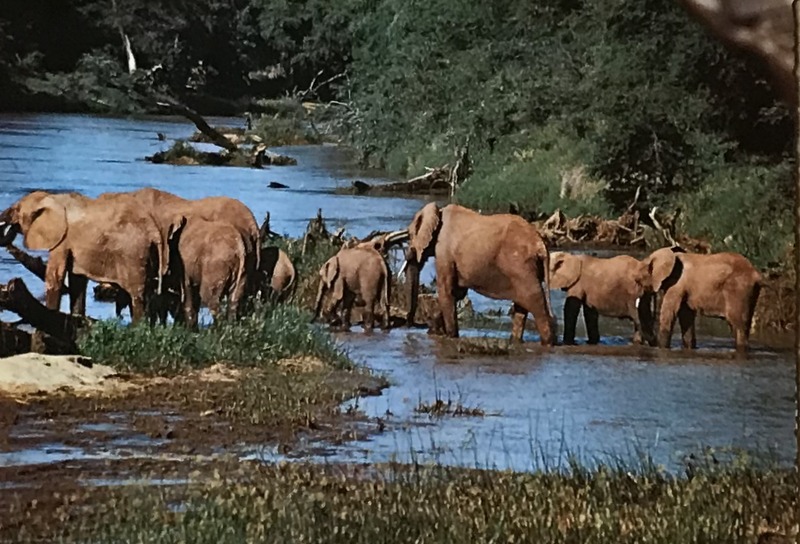 Cartes · Cartes postales Afrique