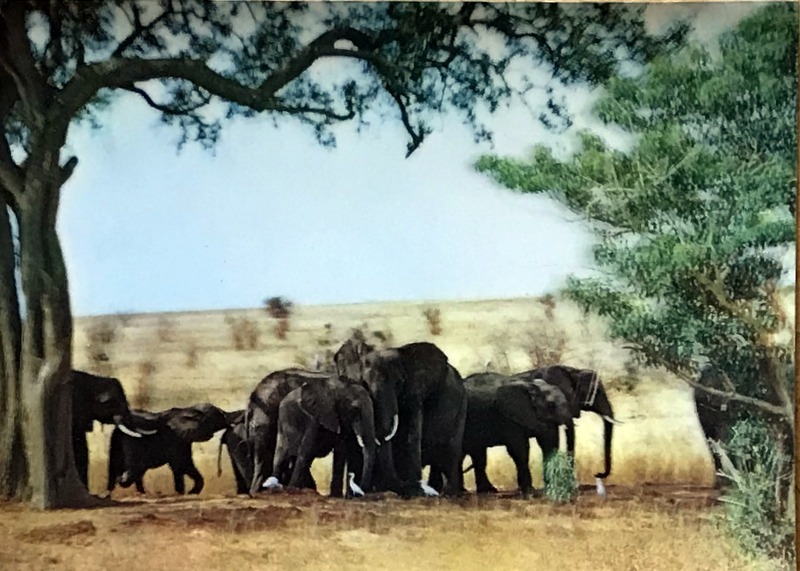 Cartes · Cartes postales Afrique