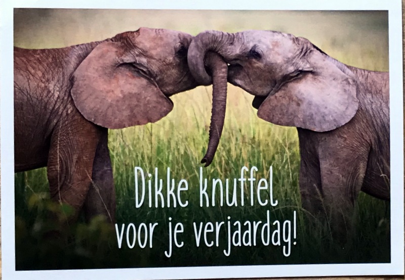 Cartes · Cartes postales Afrique