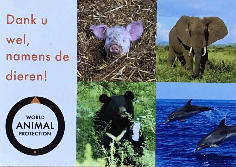 Cartes · Cartes postales Afrique