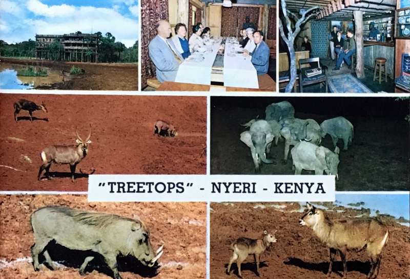 Cartes · Cartes postales Afrique