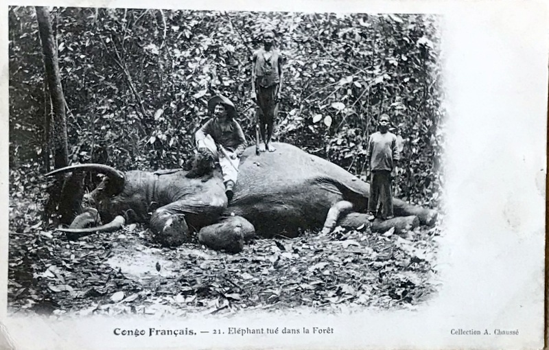 Cartes · Cartes postales Afrique