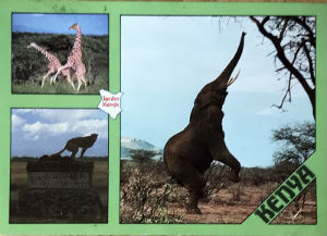 Cartes · Cartes postales Afrique