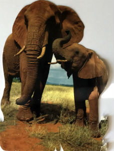 Cartes · Cartes postales Afrique