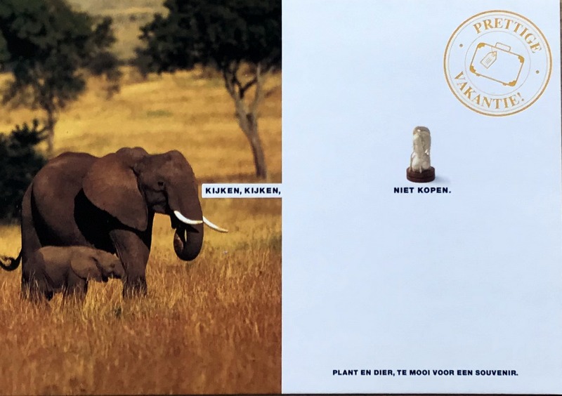 Cartes · Cartes postales Afrique