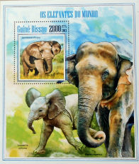 Timbres · Guniee Bissau