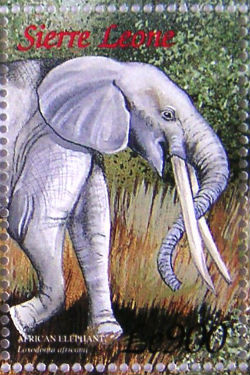 Timbres · Sierra Leone