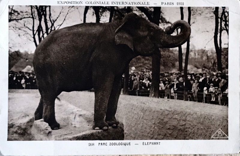 Cartes · Cartes postales Asie
