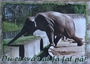 Cartes · Cartes postales Asie