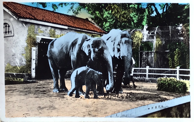 Cartes · Cartes postales Asie