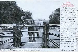 Cartes · Cartes postales Asie