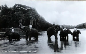 Cartes · Cartes postales Asie