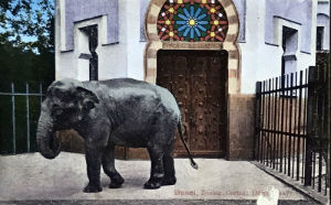 Cartes · Cartes postales Asie