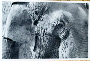 Cartes · Cartes postales Asie